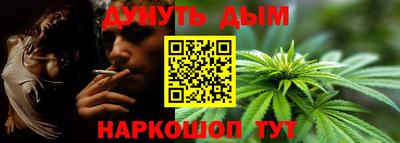 прущие грибы Камышлов