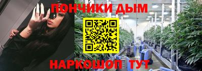сатива Кингисепп