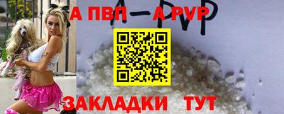 прущие грибы Камышлов
