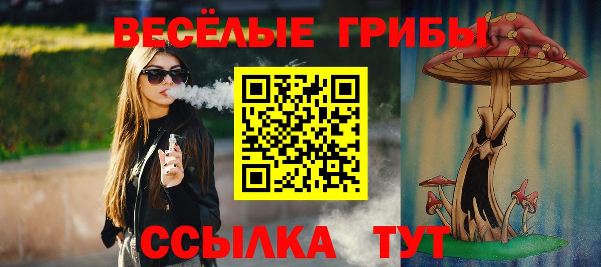 Галлюциногенные грибы прущие грибы Краснознаменск